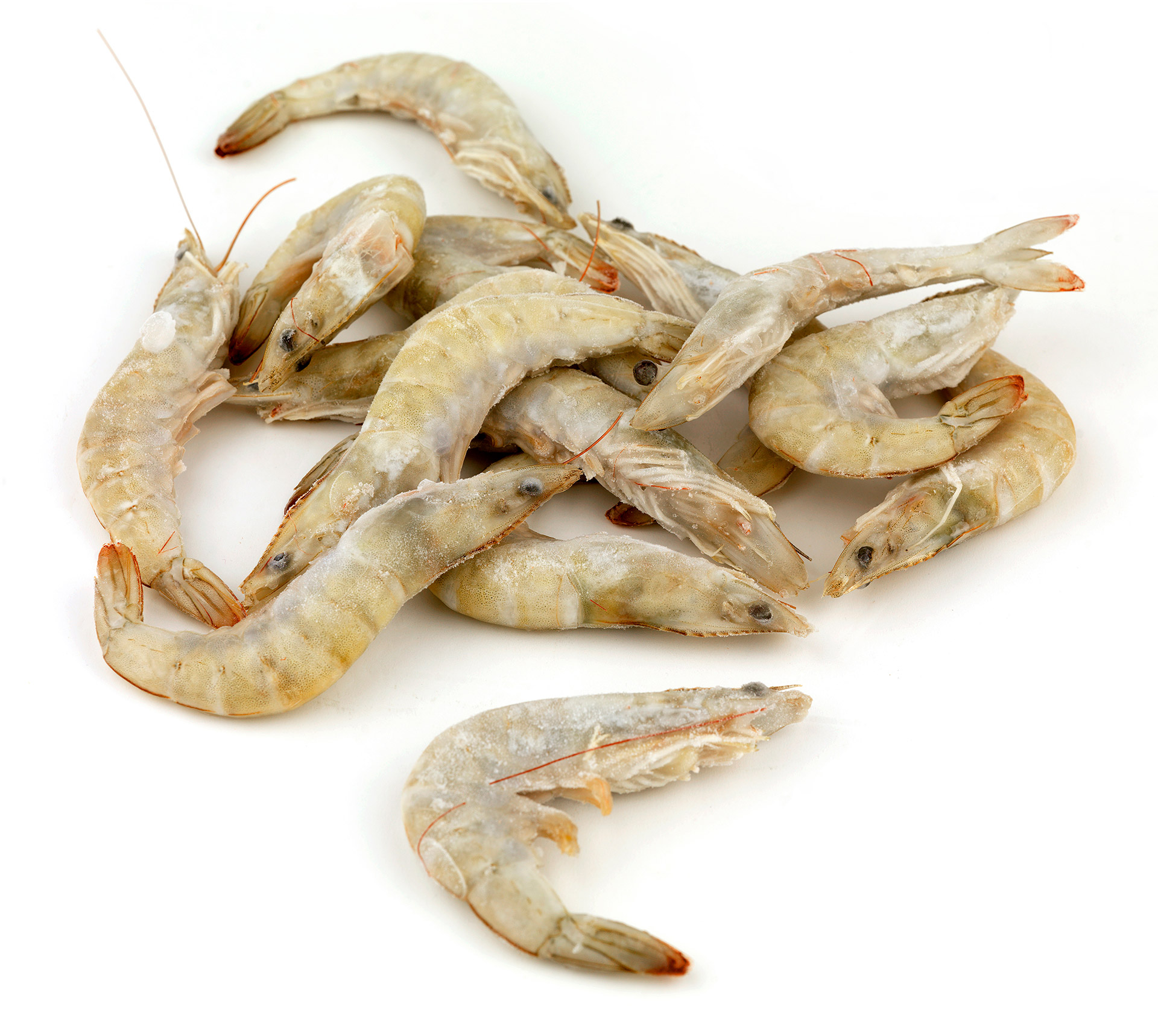 Camar�o Vannamei 40/60 Congelado 2x5 kg