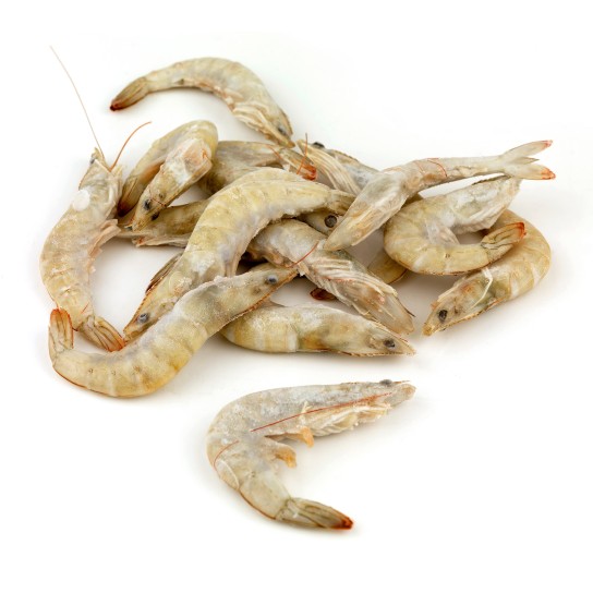 Camaro Vannamei 40/60 Congelado 2x5 kg