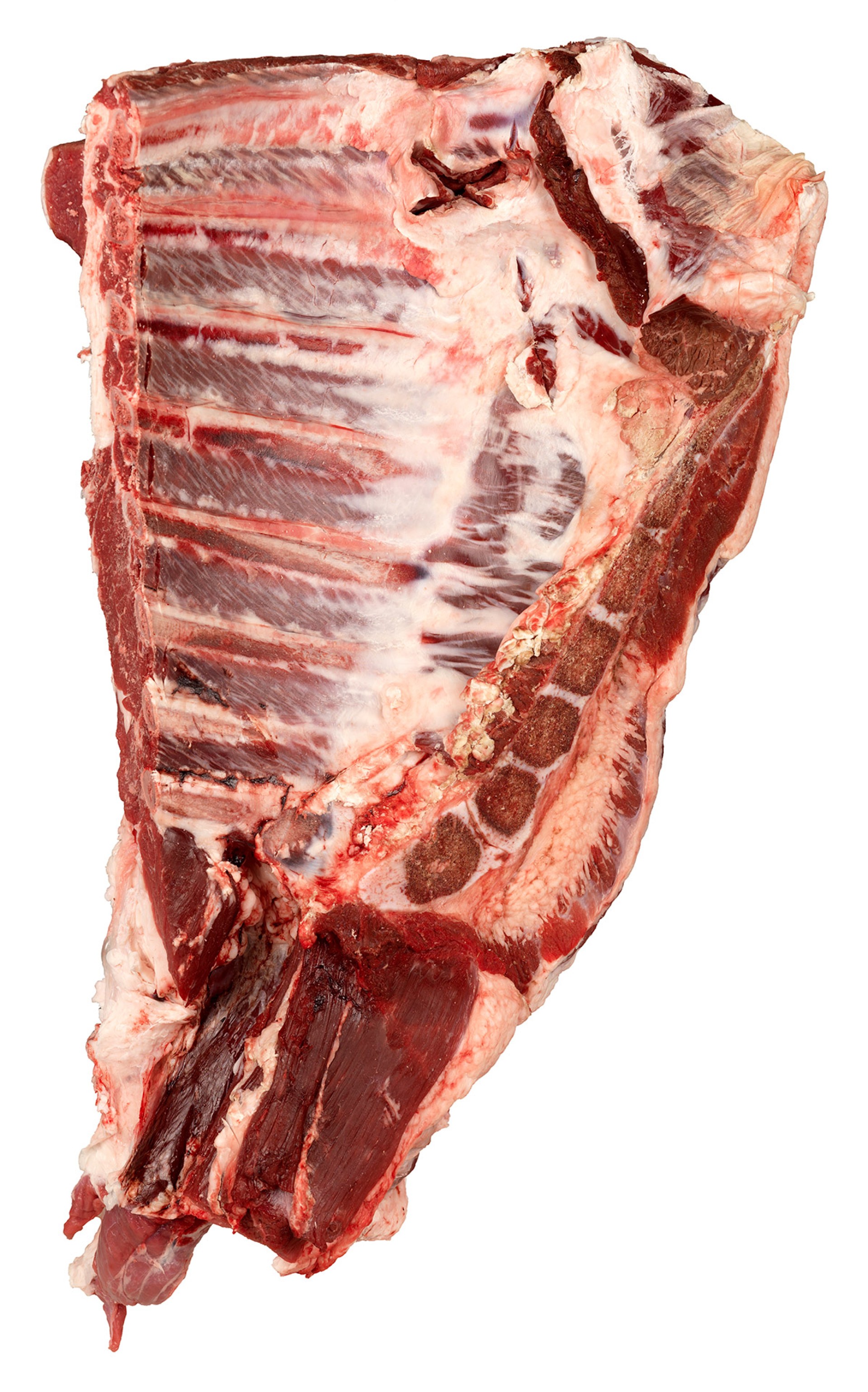 Novilho Peito c/ Osso Fresco Uli