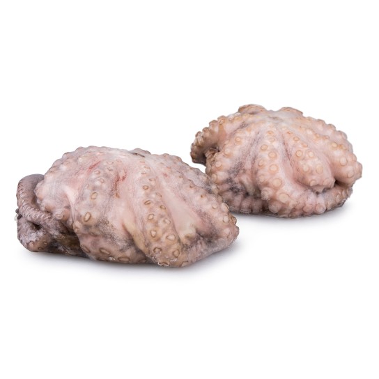 Polvo Flr T6 800/1200 Congelado Tanznia Cx 15 kg