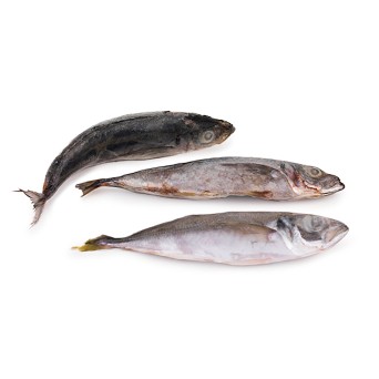 Carapau Branco 6/8 Congelado Uli  Cx 6 kg