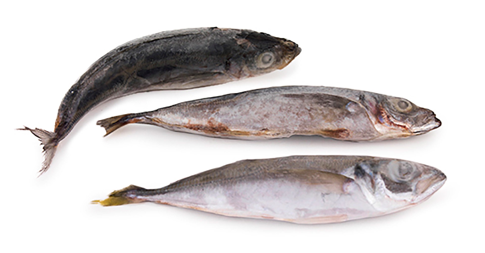 Carapau Branco 6/8 Congelado Uli Cx 6 kg Carapau Branco 6/8 Congelado Uli Cx 6 kg