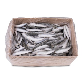 Petinga Congelada Uli Cx 6 kg
