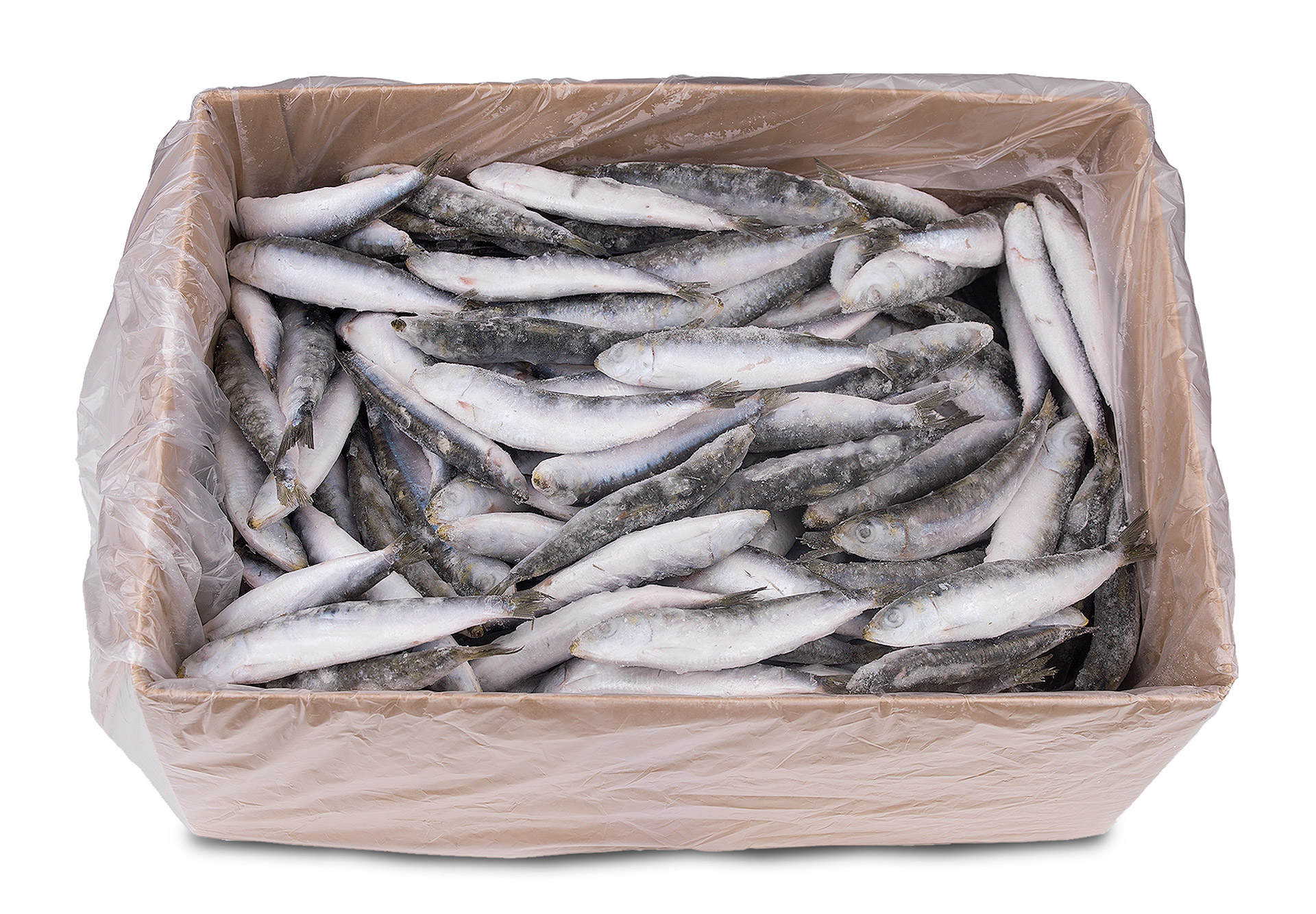 Petinga Congelada Uli Cx 6 kg Petinga Congelada Uli Cx 6 kg