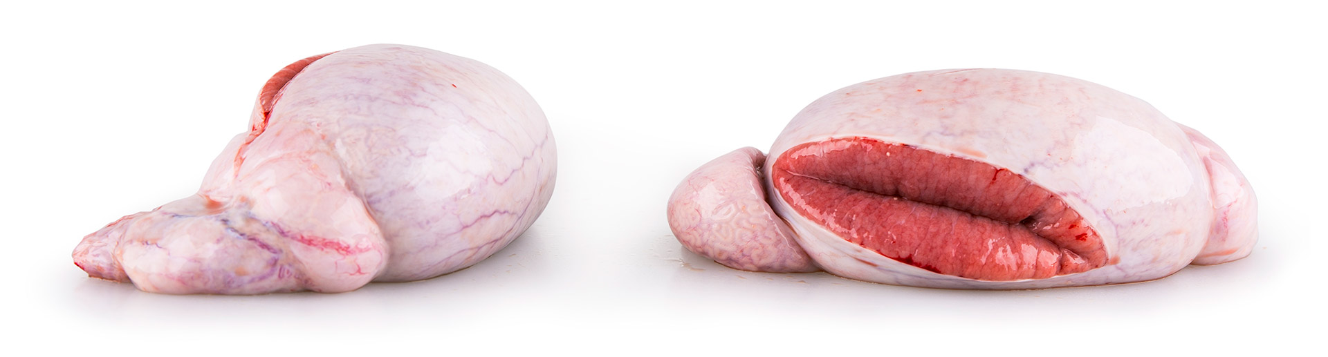 Porco T�baros Frescos Avulso