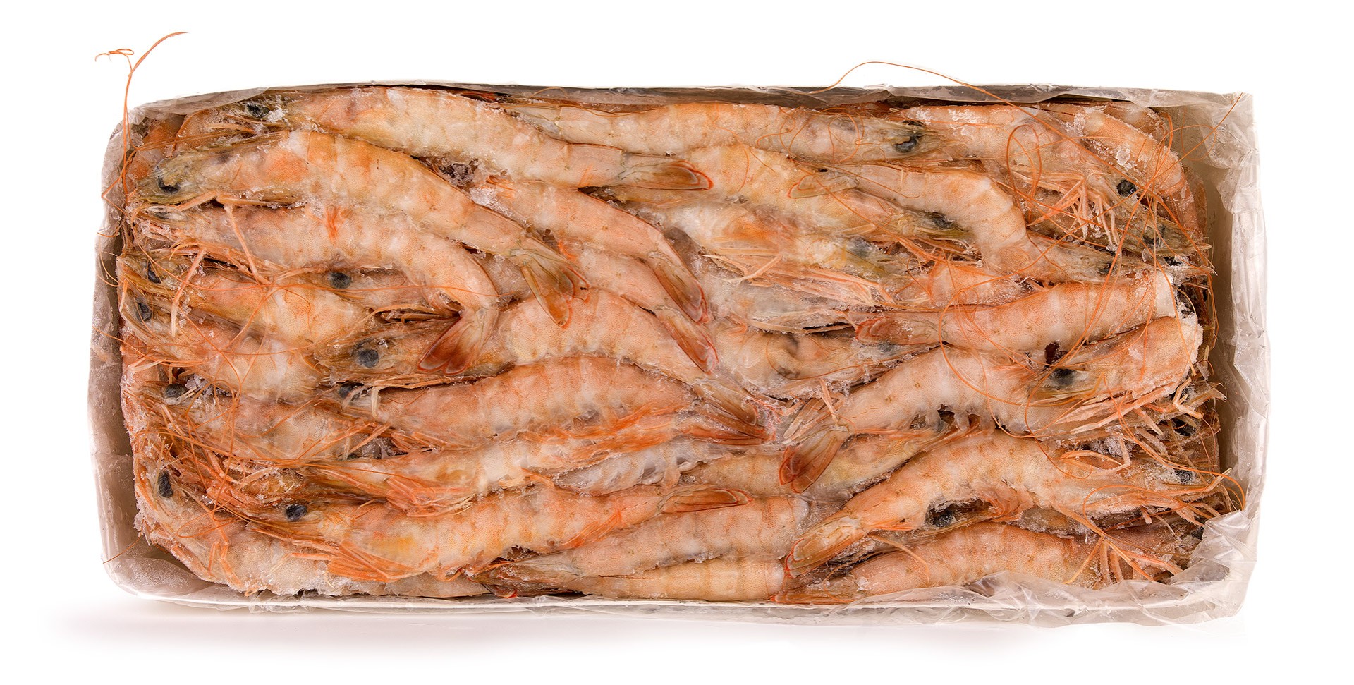 Camar�o White 60/80 Congelado Nig�ria Cx 2 kg