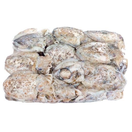 Choco Inteiro 100/200 g Congelado Cx 7 kg