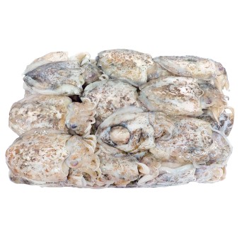 Choco Inteiro 100/200 g Congelado Cx 7 kg