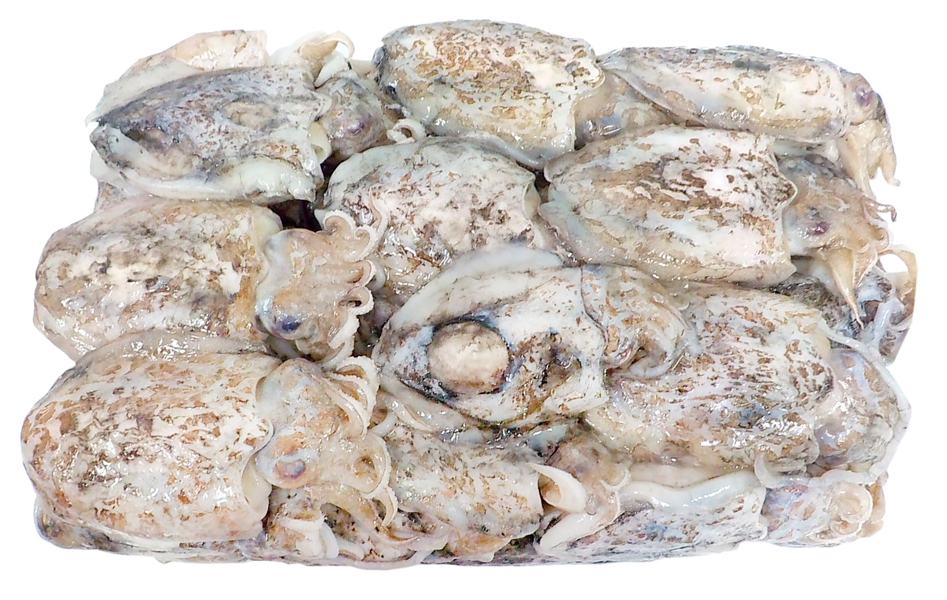 Choco Inteiro 100/200 g Congelado Cx 7 kg Choco Inteiro 100/200 g Congelado Cx 7 kg