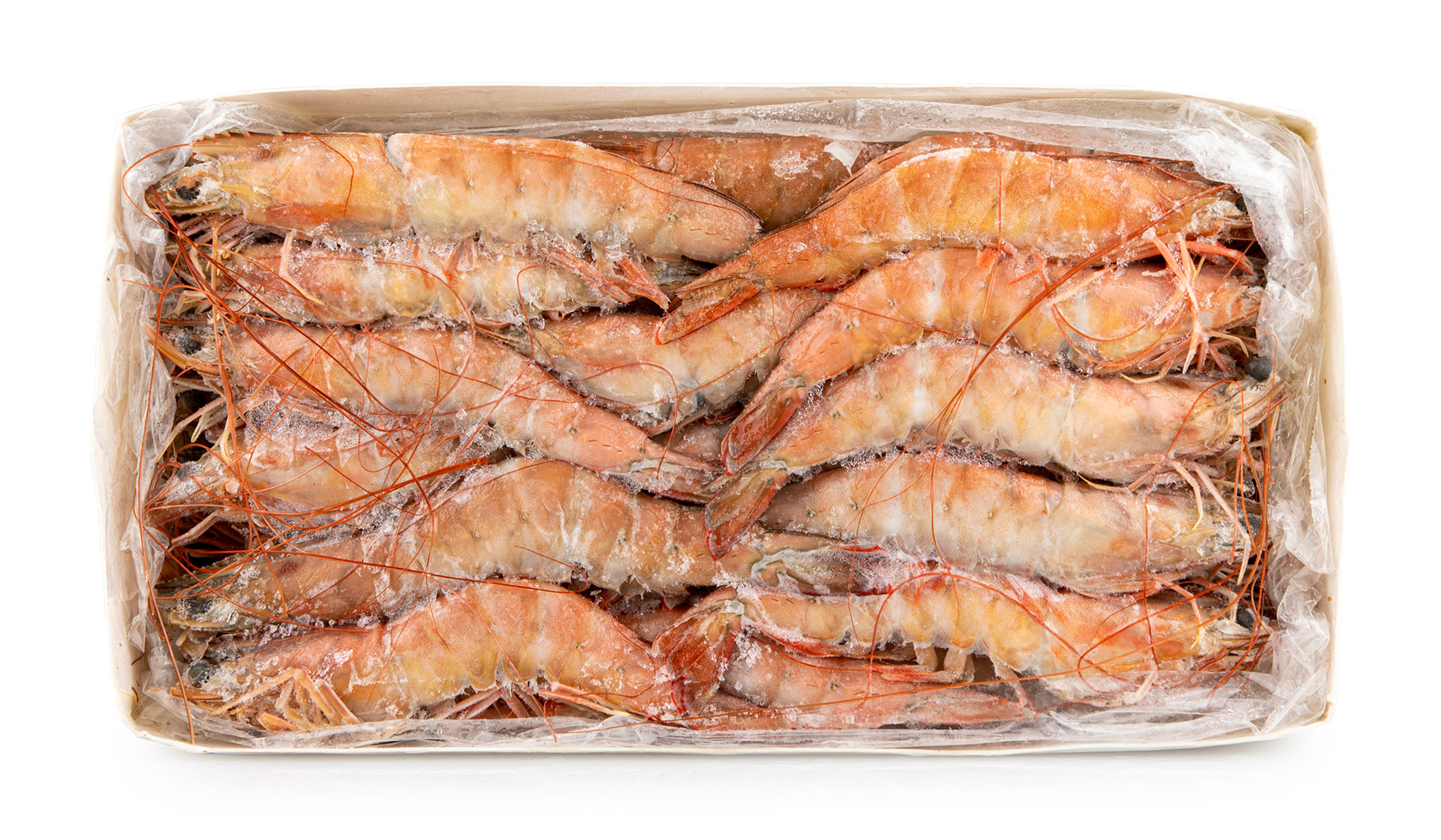 Camarão White 20/30 Congelado Nigéria Cx 2 kg Camarão White 20/30 Congelado Nigéria Cx 2 kg