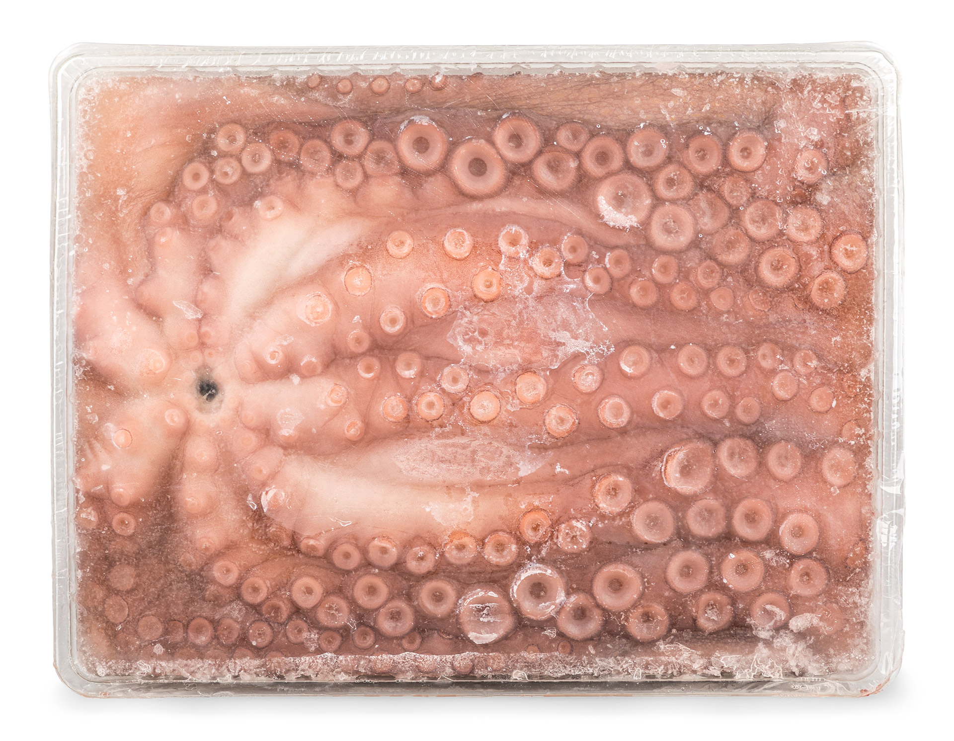 Polvo Andaluzia 3000/4000 Congelado Bandeja Polvo Andaluzia 3000/4000 Congelado Bandeja