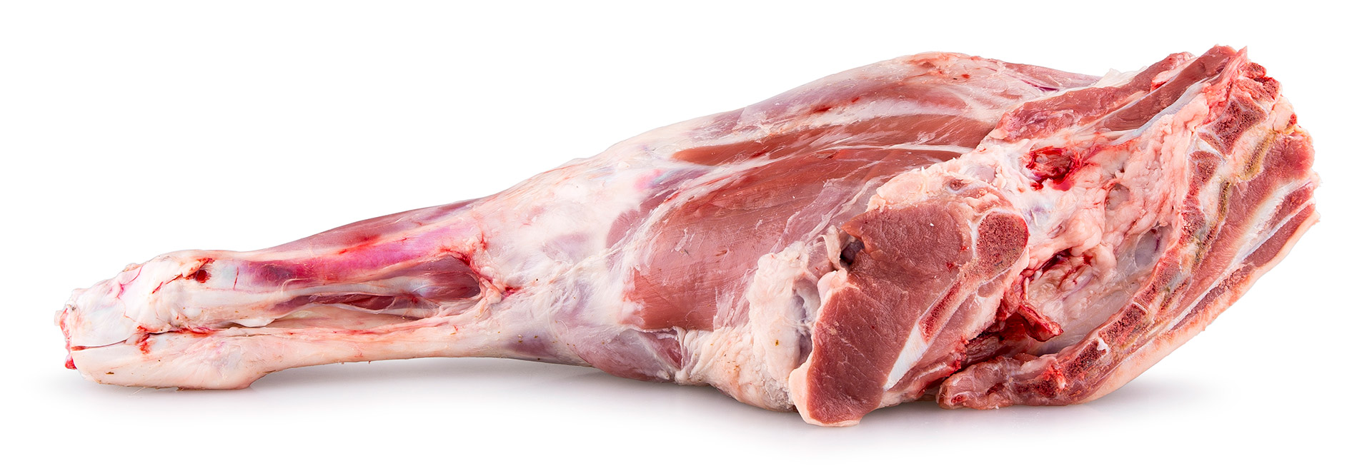 Borrego Perna Fresca Uli Avulso