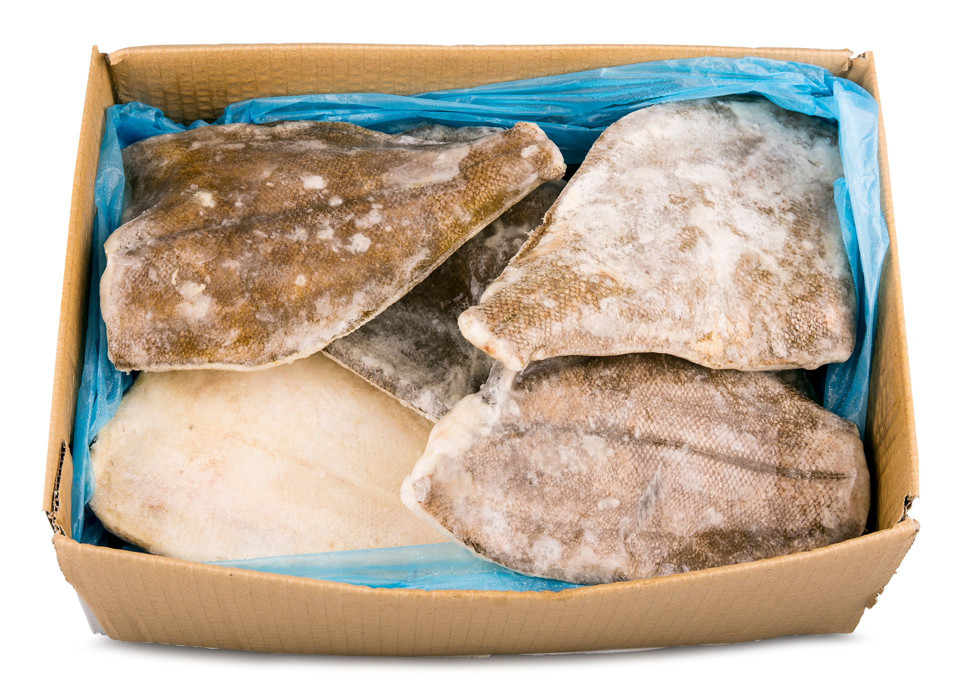 Solha Inteira 400/600 Congelada Uli Cx 6 kg Solha Inteira 400/600 Congelada Uli Cx 6 kg