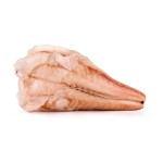 Tamboril s/ Pele 250/500 g Congelado �frica do Sul Cx 10 kg