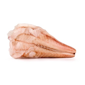 Tamboril s/ Pele 250/500 g Congelado África do Sul Cx 10 kg Tamboril s/ Pele 250/500 g Congelado África do Sul Cx 10 kg