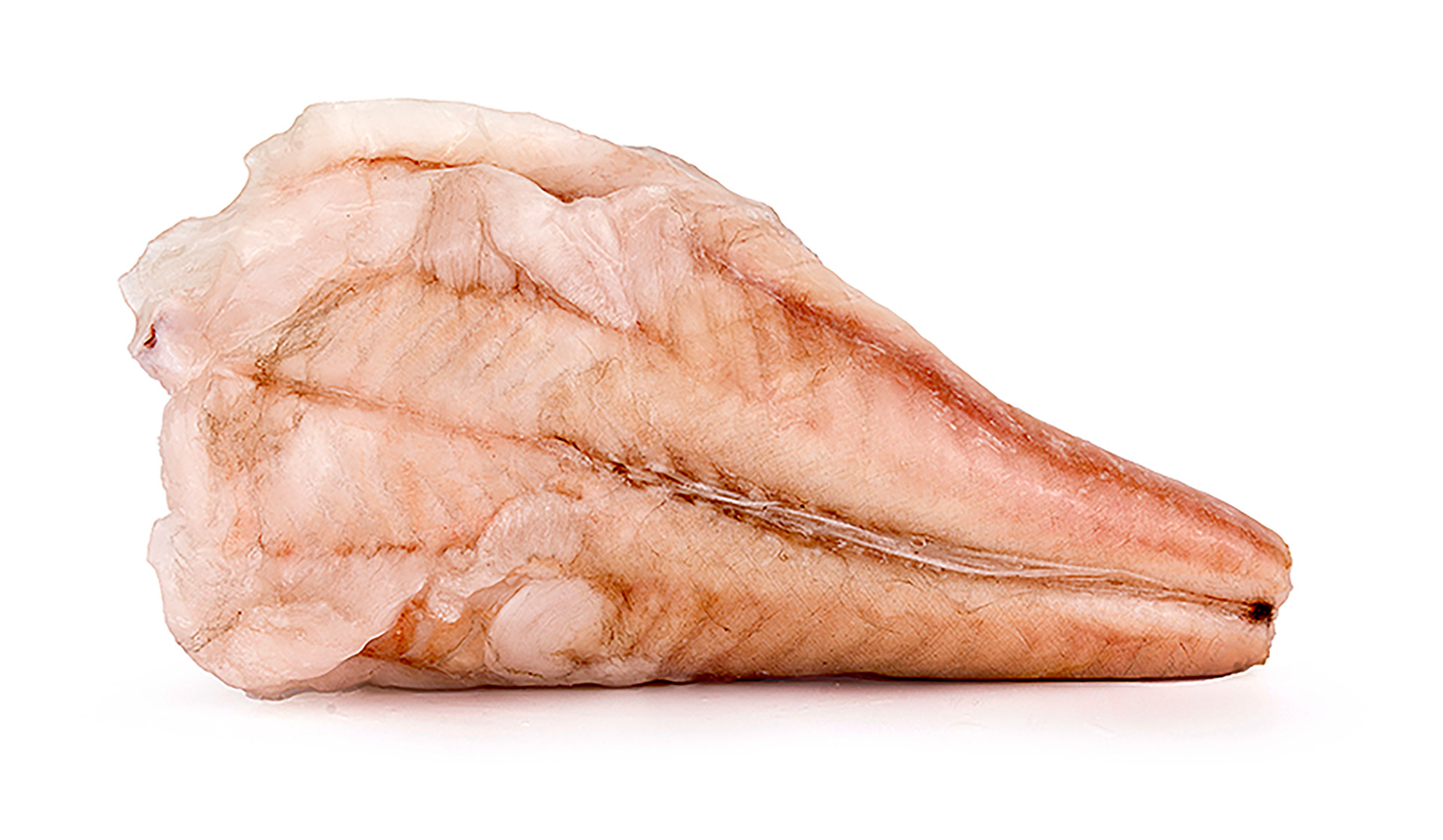 Tamboril s/ Pele 250/500 g Congelado �frica do Sul Cx 10 kg