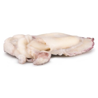 Choco Limpo 4/5 kg Congelado Marrocos Cx 12 kg