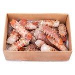 Rabos Lagosta 100/200 Congelados Cx 5 kg Rabos Lagosta 100/200 Congelados Cx 5 kg