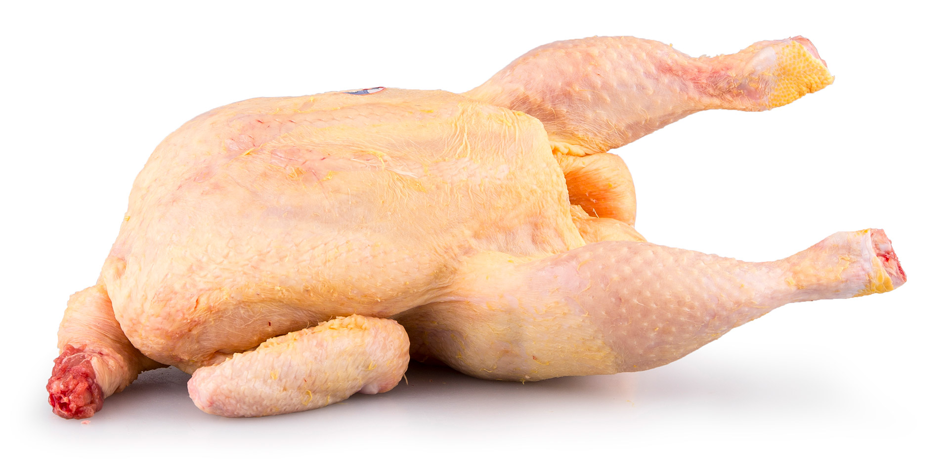 Frango Inteiro 1400/1500 g Fresco Avicasal