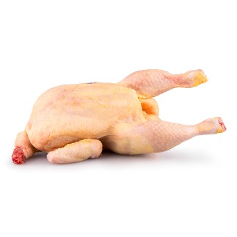 Frango Inteiro 1400/1500 g Fresco Avicasal