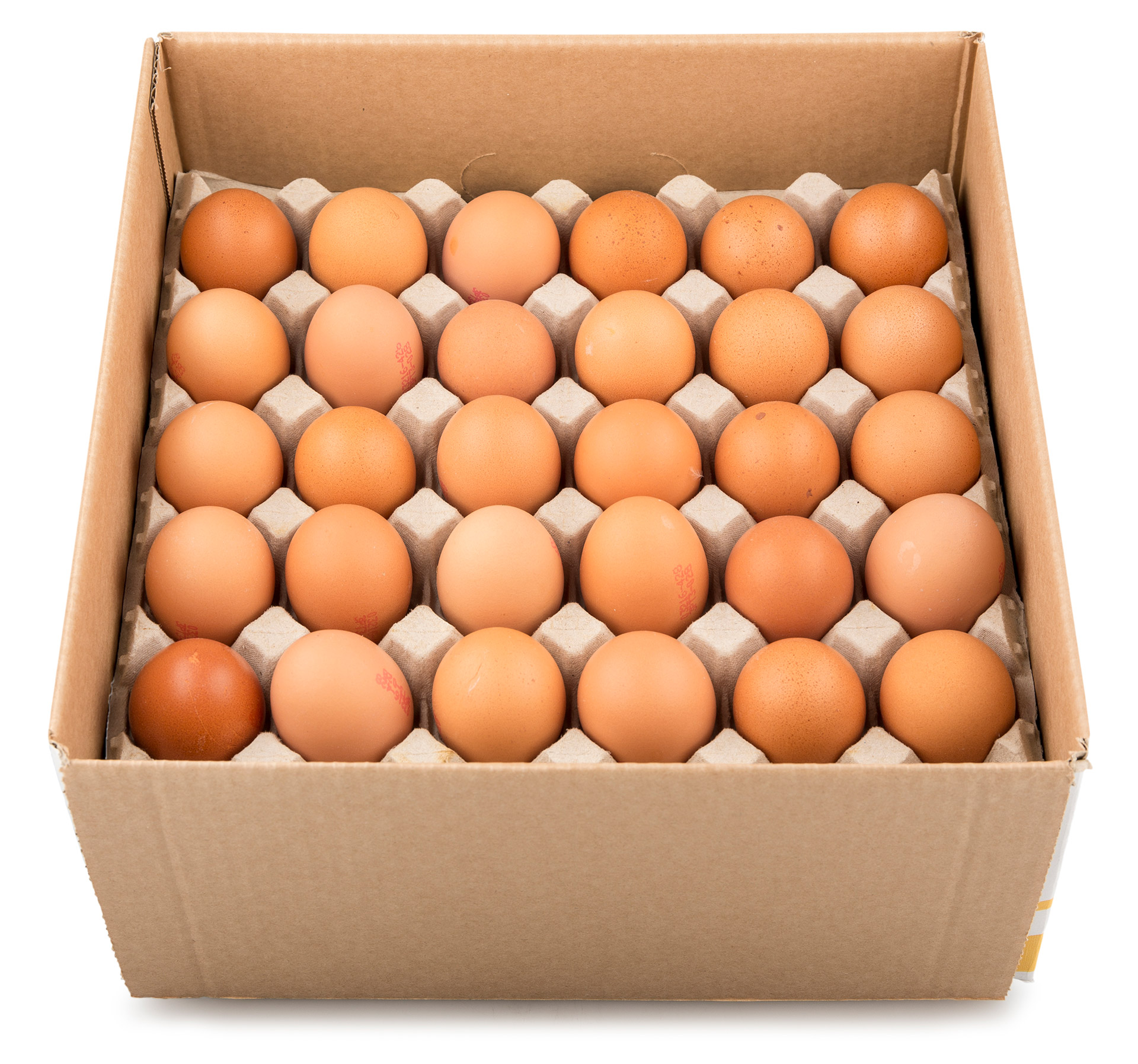 Ovo Ind�stria M Uli Cx 5 D�zias