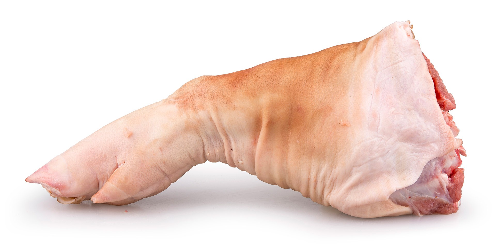 Porco Chispe M�o Fresco