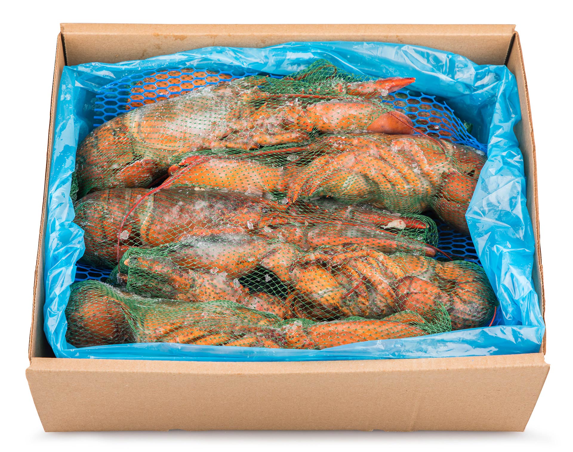 Lavagante Cru Inteiro 400/450 Congelado Cx 5 kg