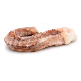 Tentculos Pota 1/2 kg Congelados Cx 8 kg