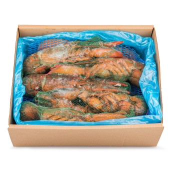 Lavagante Cru Inteiro 400/450 Congelado Cx 5 kg