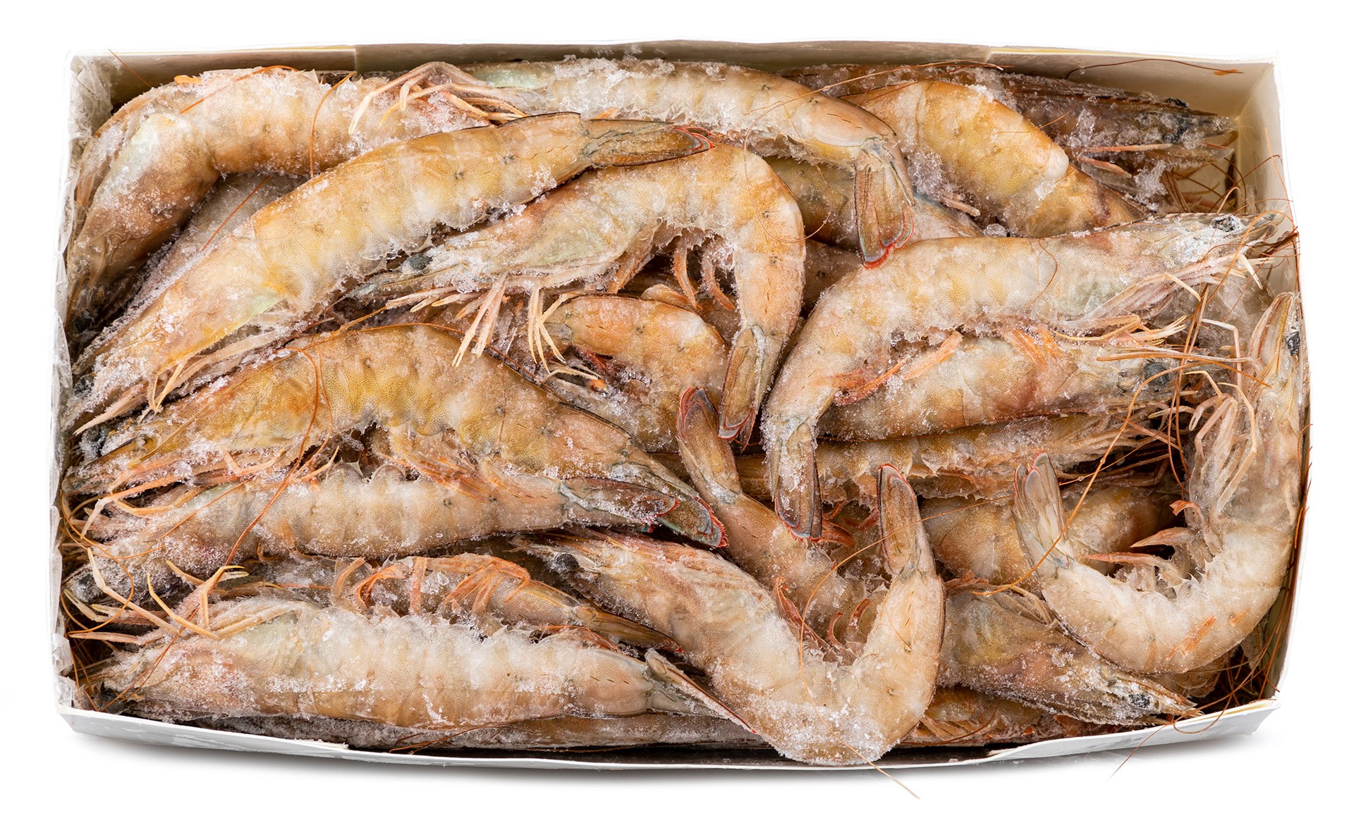 Camarão White 30/40 Congelado Senegal Cx 2 kg Camarão White 30/40 Congelado Senegal Cx 2 kg