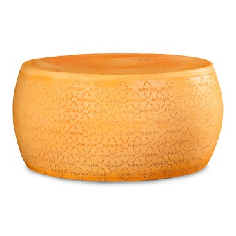 Queijo Grana Padano Forma Inteira