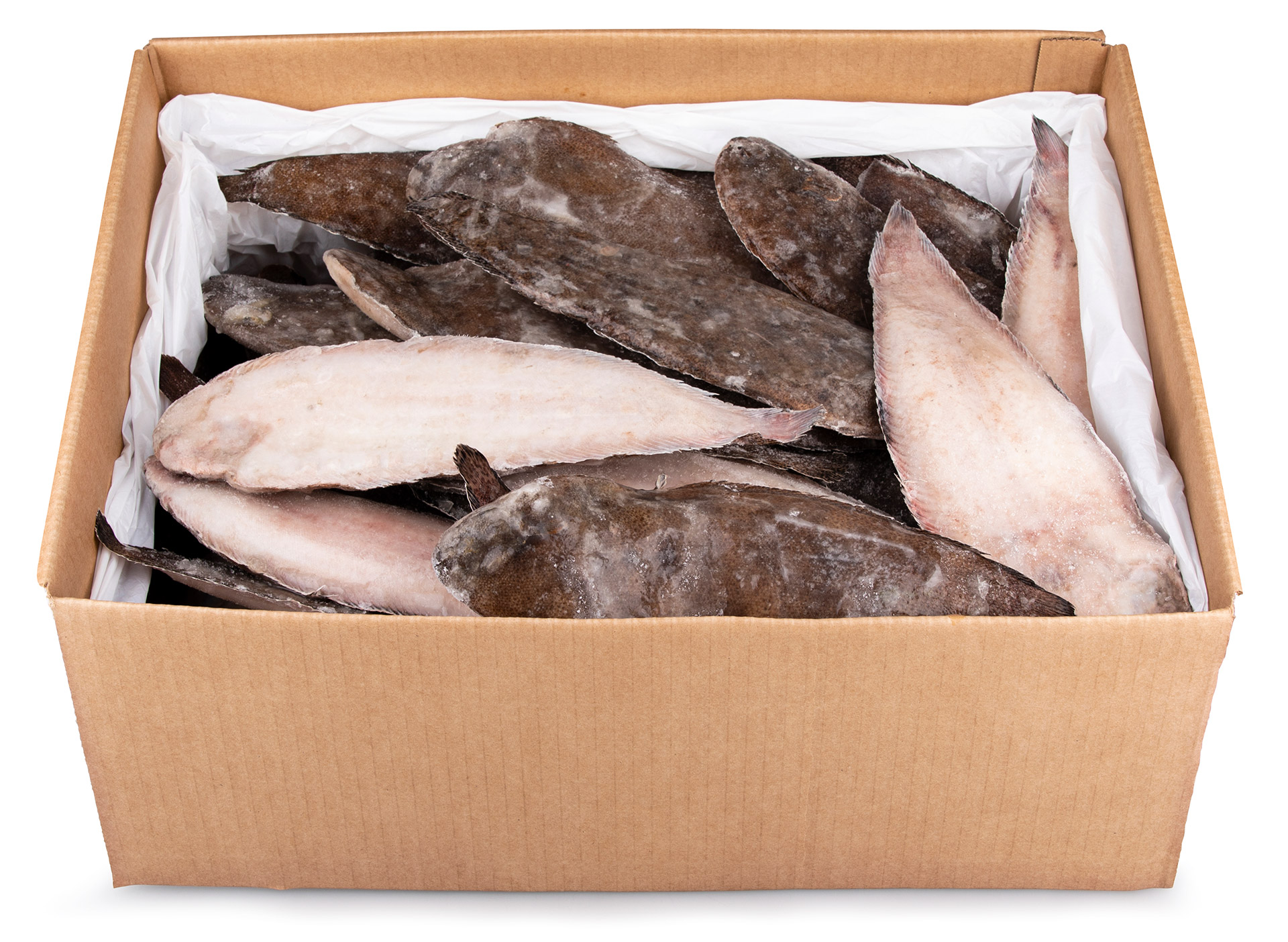 Linguado 200/300 g Congelado Guiné Cx 10 kg Linguado 200/300 g Congelado Guiné Cx 10 kg