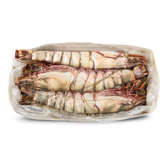 Camaro Tigre U/5 Congelado Nigria Cx 2kg
