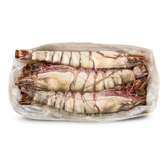 Camaro Tigre U/5 Congelado Nigria Cx 2kg