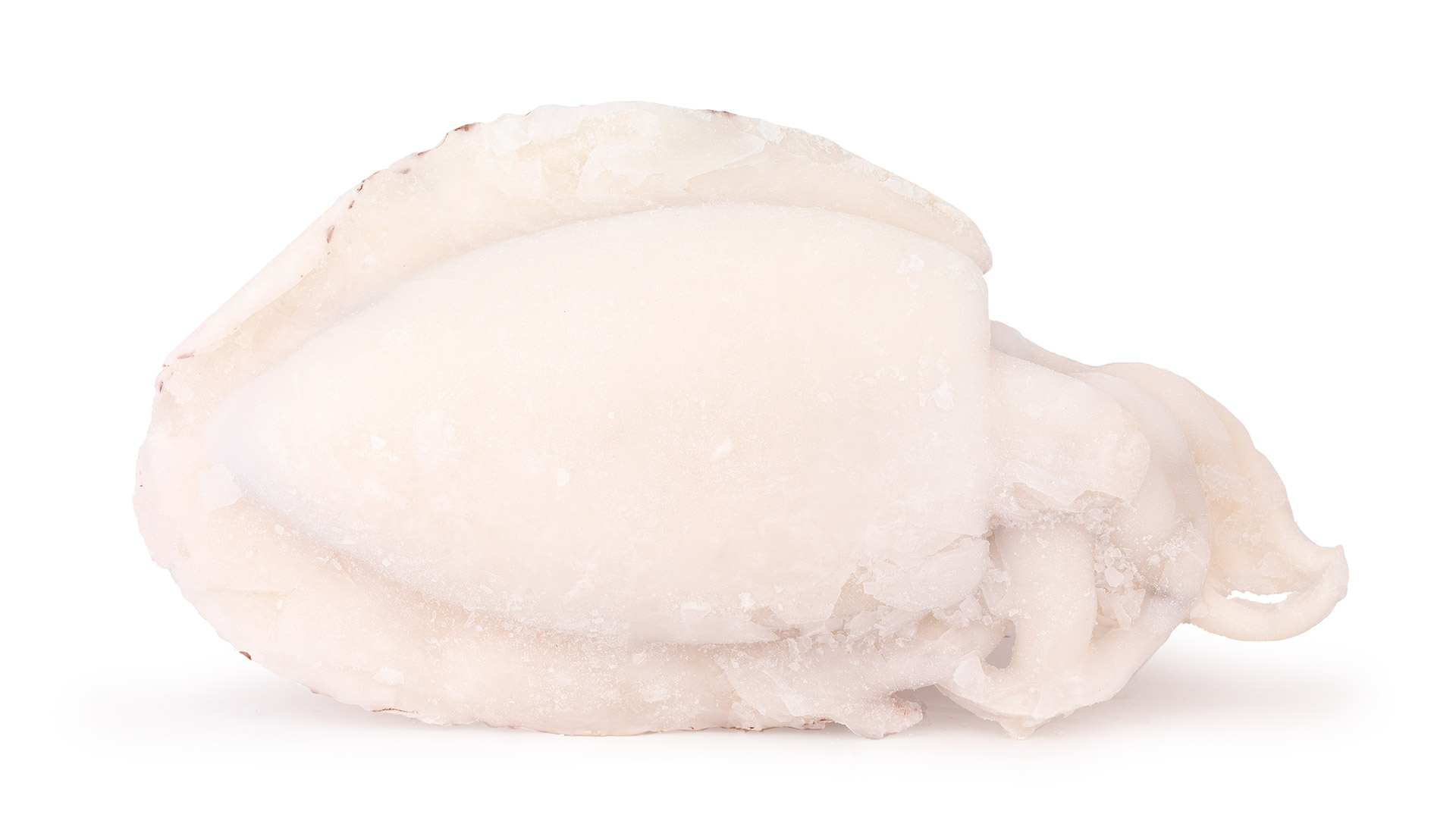 Choco Limpo U/1 Congelado India Cx 10 kg Choco Limpo U/1 Congelado India Cx 10 kg