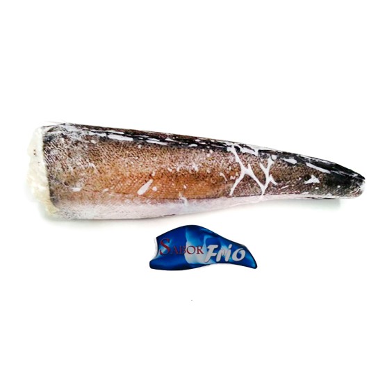 Pescada Inteira Bordo N5 Congelada Chile IQF