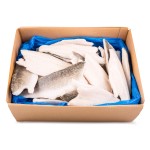 Filete Robalo c/ Pele 120/140 g Congelado Cx 5 kg