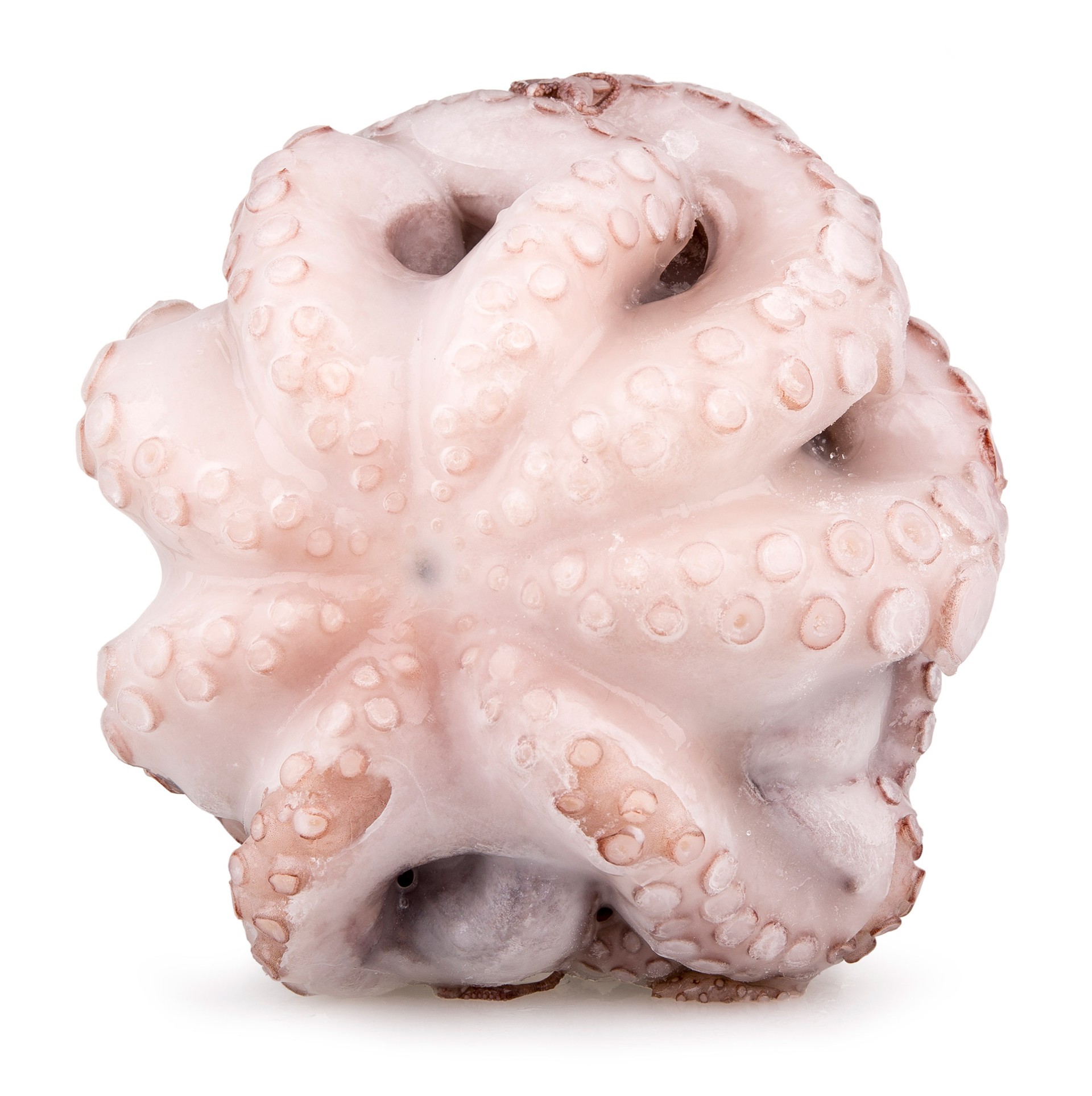 Polvo Fl�r T4 1500/2000 Congelado Tanz�nia Cx 15 kg