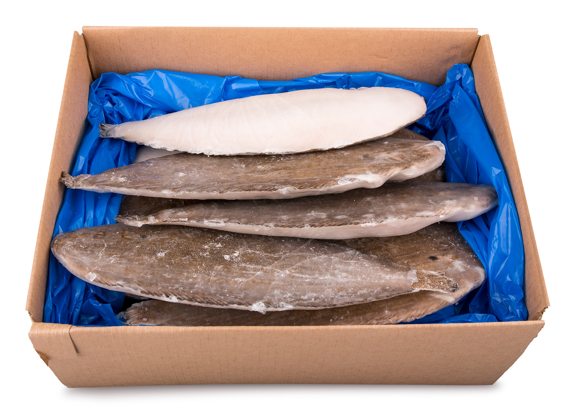 Linguado Legítimo 350/400 g Congelado Cx 5 kg Linguado Legítimo 350/400 g Congelado Cx 5 kg