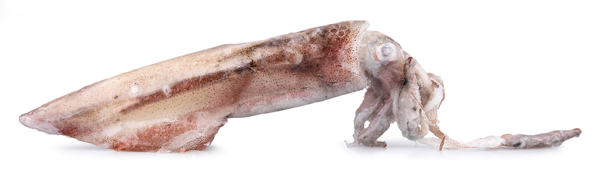 Lula Grelhar L Congelada �frica do Sul Cx 6 kg