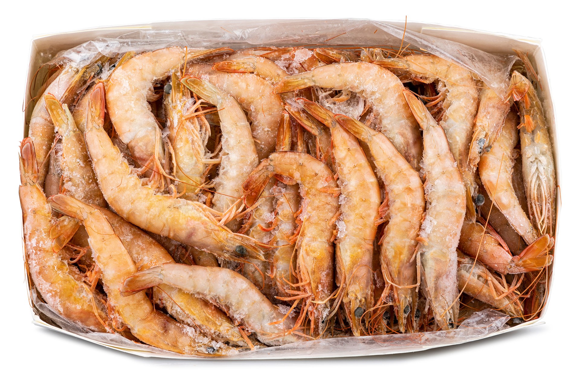 Camar�o White 60/80 Congelado Senegal Cx 2 kg