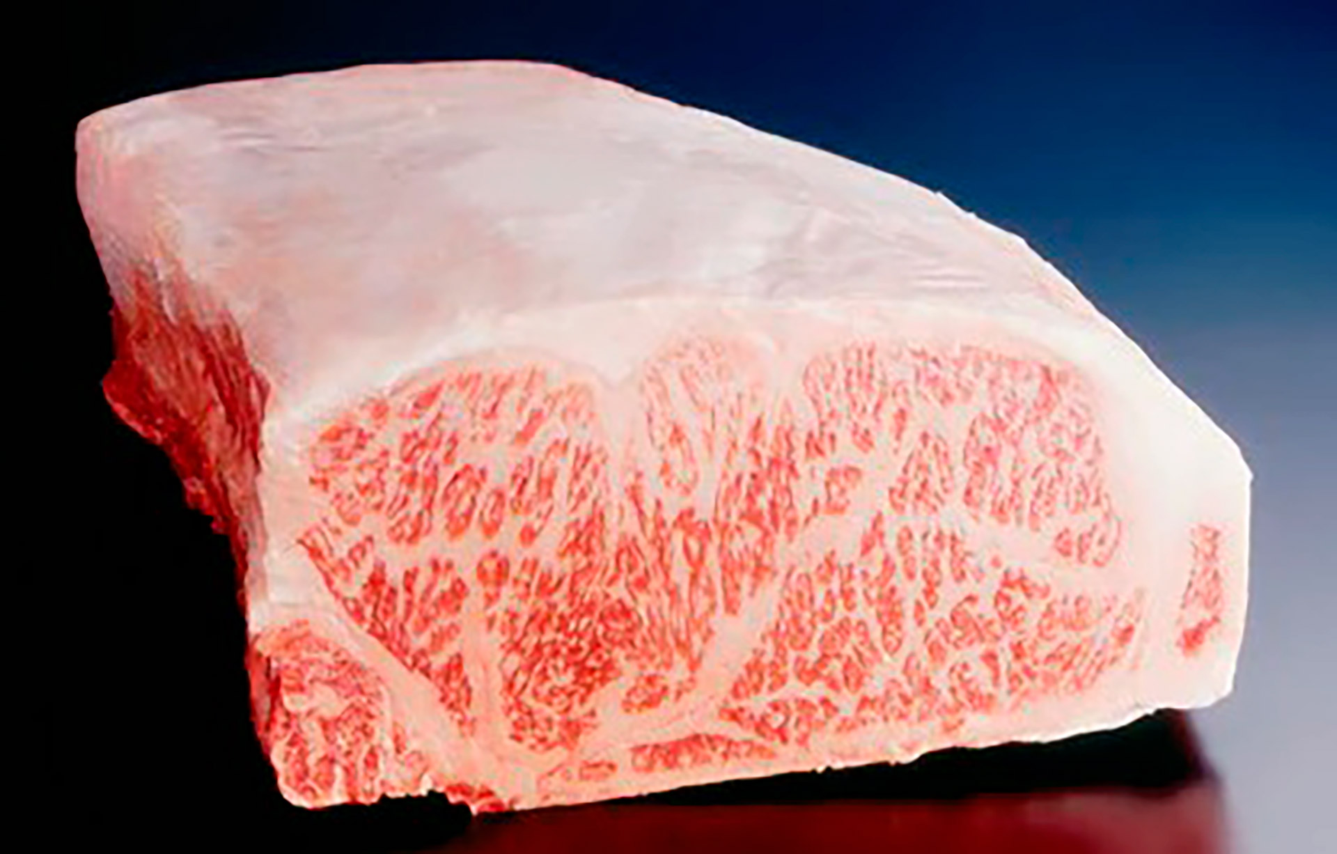 Novilho Vazia Wagyu Fresca Jap�o V�cuo