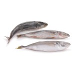 Carapau Branco 9/12 Congelado Uli Cx 6 kg