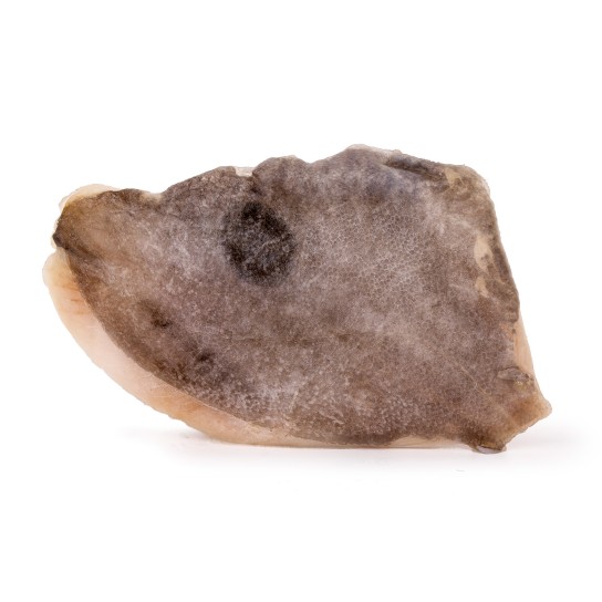 Filete Peixe Galo c/ Pele 200/300 g Congelado Cx 5 kg