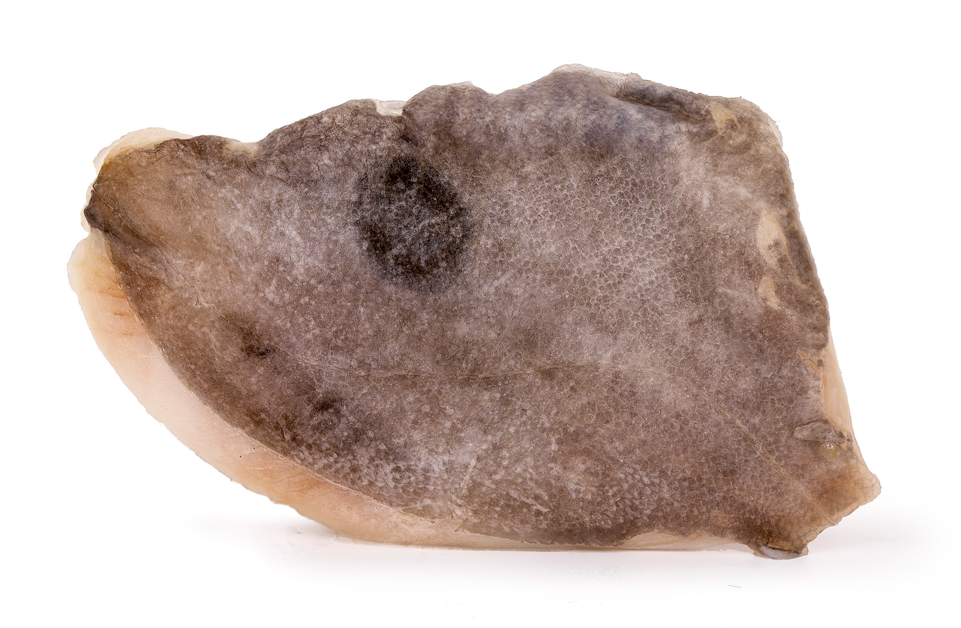 Filete Peixe Galo c/ Pele 200/300 g Congelado Cx 5 kg