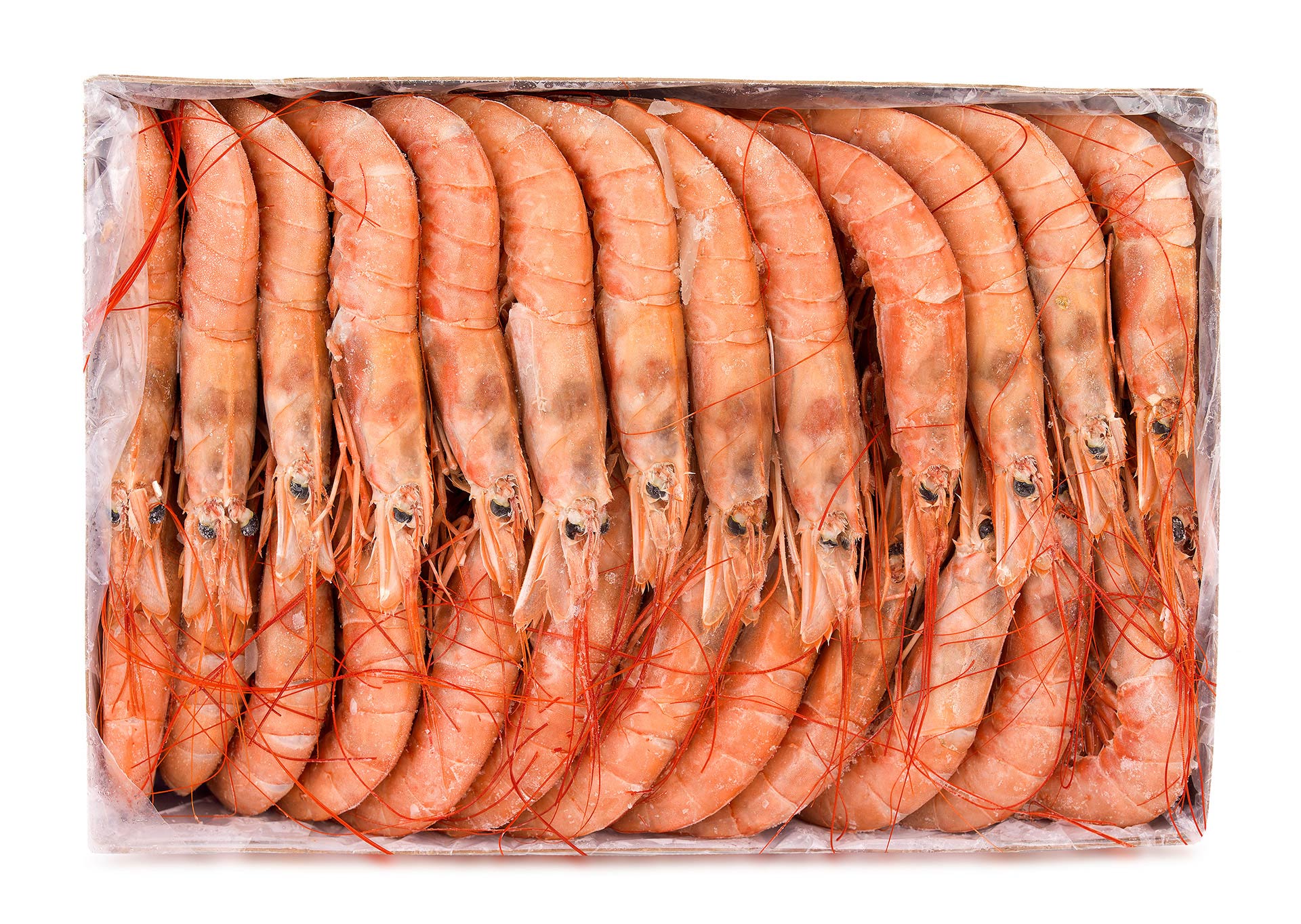 Camar�o Bordo 20/30 Congelado Argentina Cx 2 kg