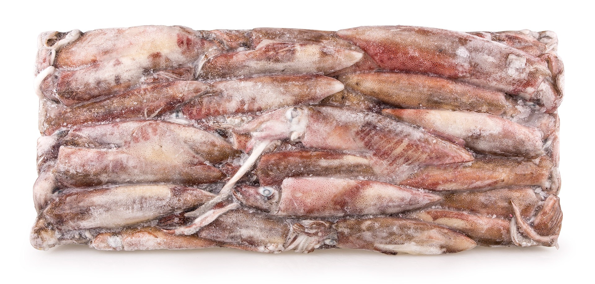 Lula Bordo S 12/18 cm Congelada �frica do Sul Bloco