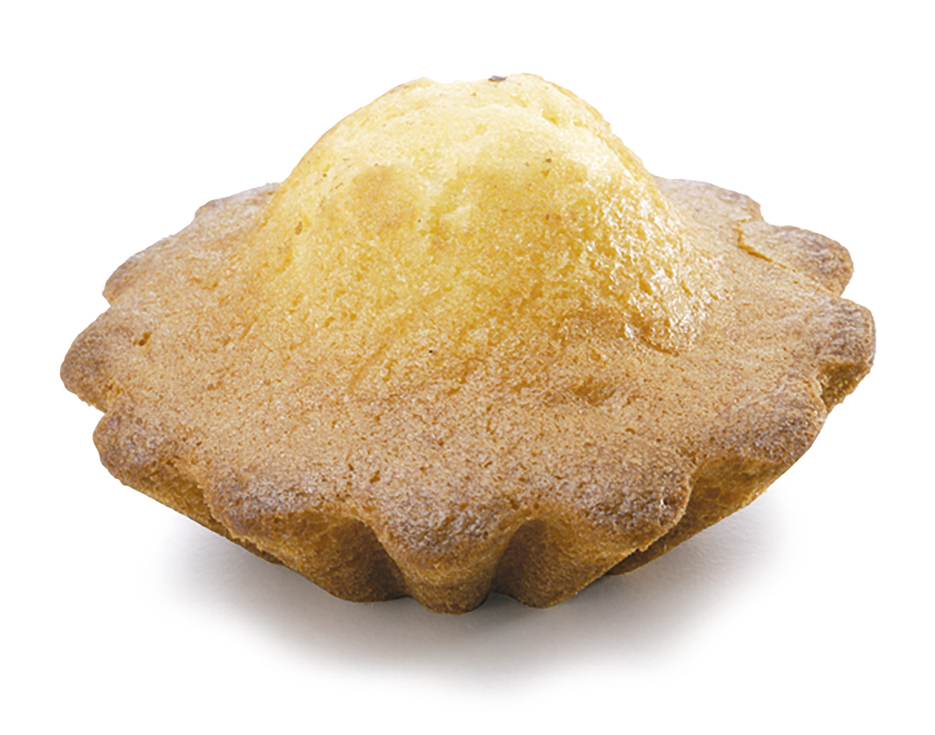 Queque Pronto Congelado Baker & Baker 30x55 g Queque Pronto Congelado Baker & Baker 30x55 g
