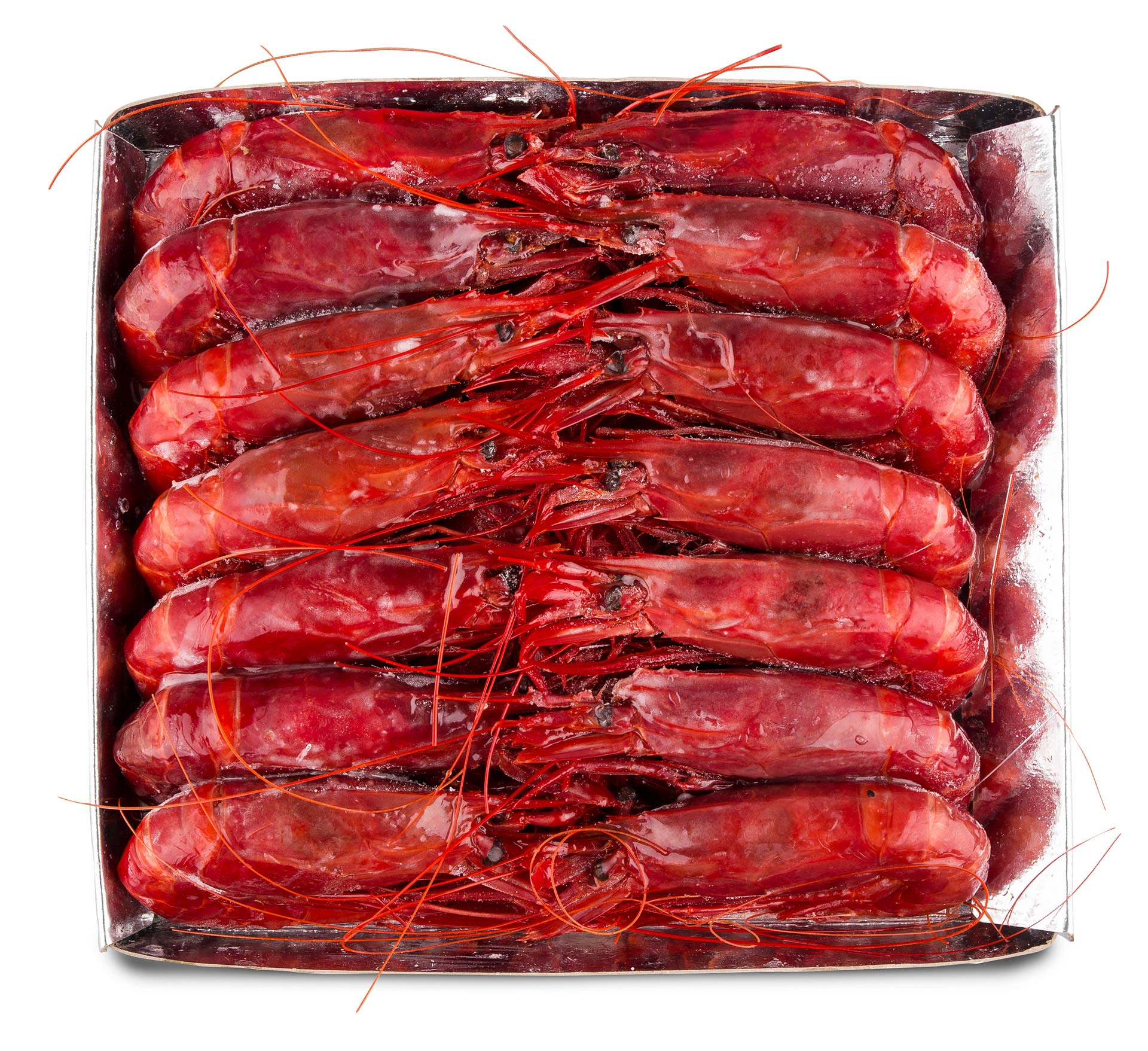 Carabineiro 14/18 Congelado Marrocos Cx IQF