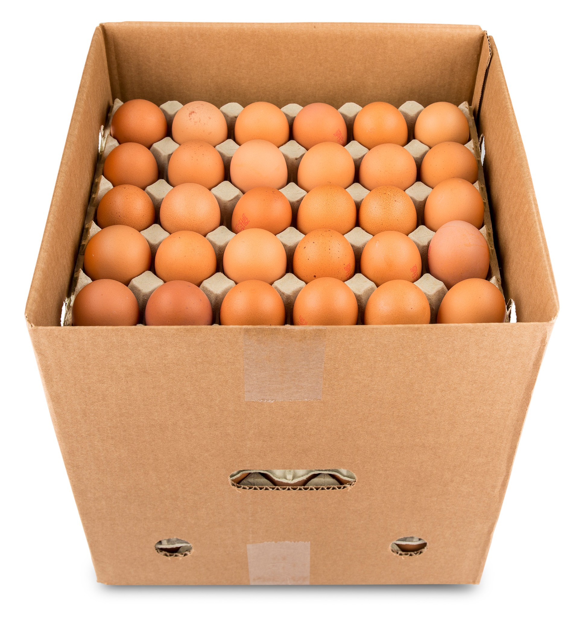 Ovo Pastelaria M Uli Cx 15 D�zias